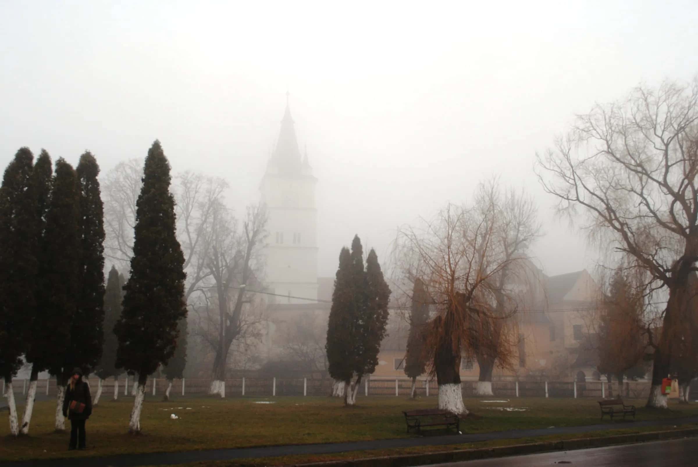 Turnul bisericii din Hărman pierzându-se în ceața dimineții, în spatele chiparoșilor