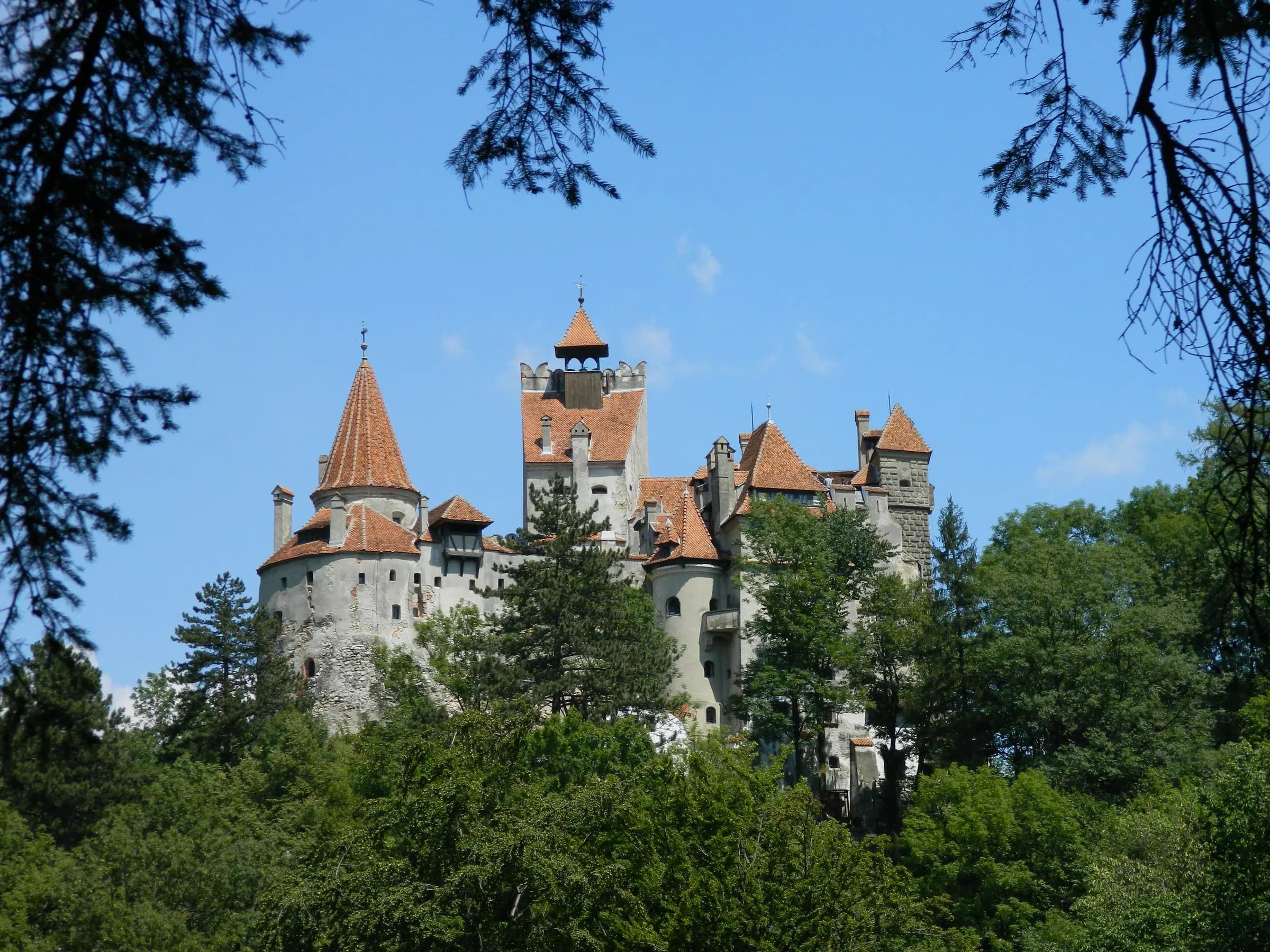 Castelul Bran ridicându-se peste pădure, sub un cer albastru